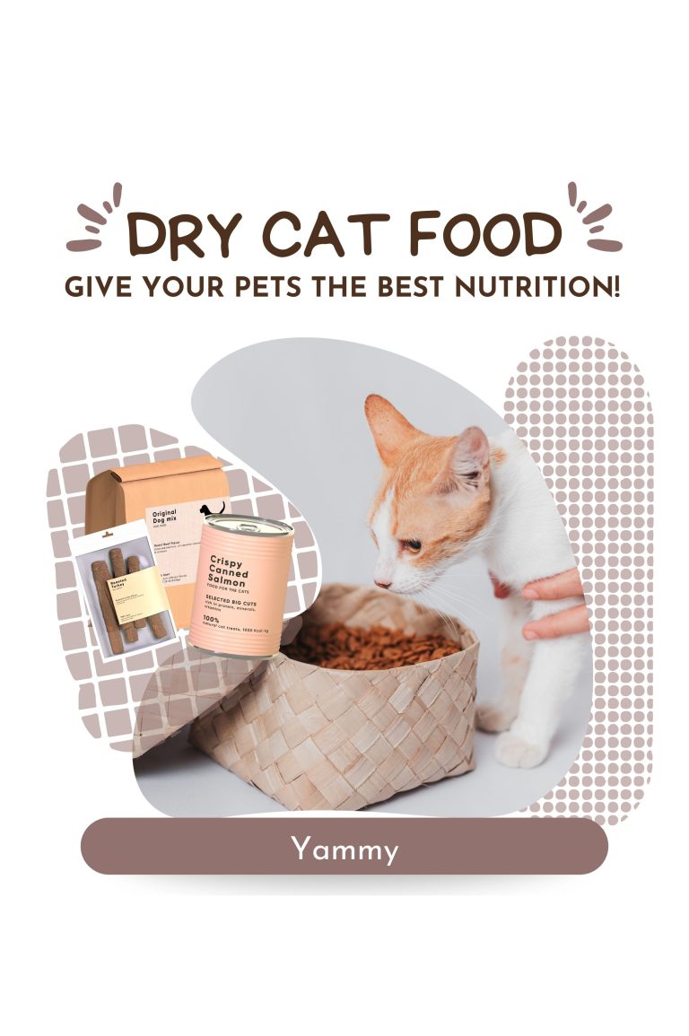 Dry Cat Foods: Everything You Need to Know for a Healthy Cat